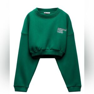 Zara Crop Sweatshirt